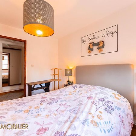 Au Bonheur Des Anges Appartement 2 Chambres Avec Terrasse Кольмар Екстер'єр фото